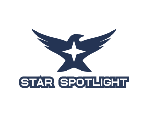 Bird Star Wings logo design