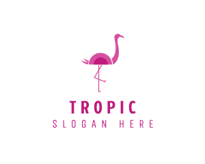 Flamingo Wildlife Aviary logo design