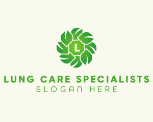 Natural Herbal Leaves logo design