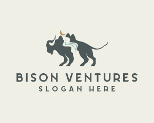 Hill River Bison logo design