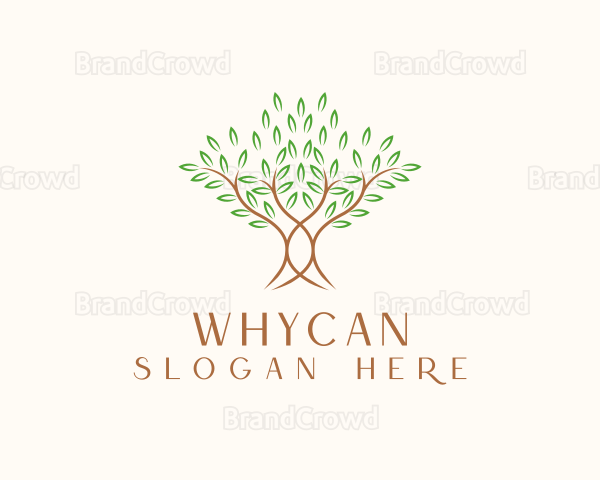 Organic Wellness Tree Logo