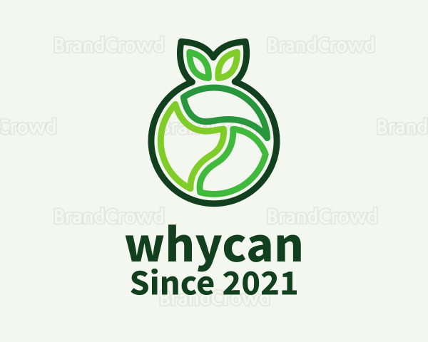 Green Outline Fruit Logo