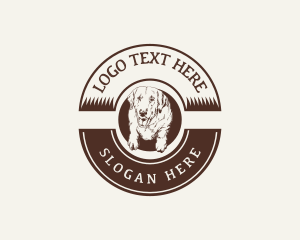 Dog Vintage Grooming logo design