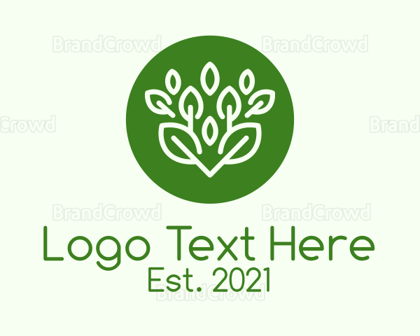 Green Herbal Plant Logo
