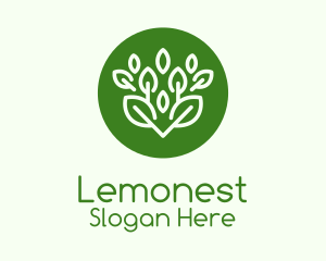 Green Herbal Plant  Logo