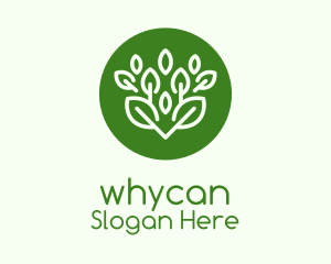 Green Herbal Plant  Logo