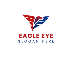 USA Eagle Wings logo design