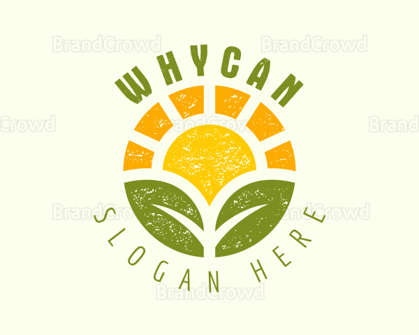 Sun Leaf Horticulture Logo