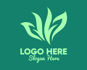Green Organic Herb Logo