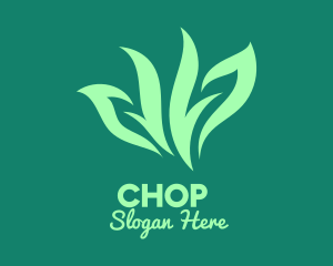 Green Organic Herb Logo