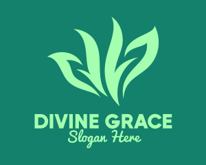 Olive Leaves - Green Organic Herb logo design
