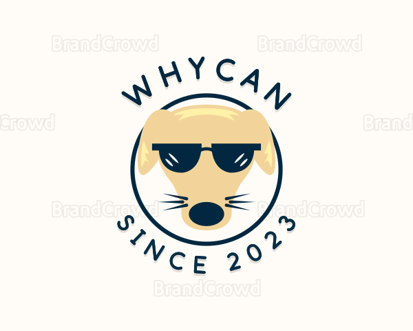 Cool  Dog Sunglasses Logo