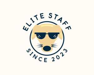 Beagle - Cool  Dog Sunglasses logo design