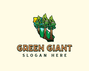 Giant Sequoia Tree California  logo design