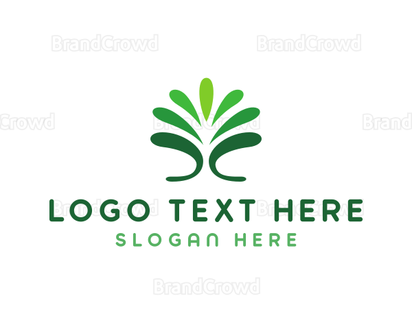 Natural Fountain Plant Logo