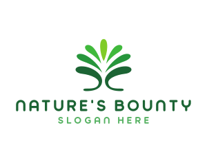 Natural Fountain Plant  logo design