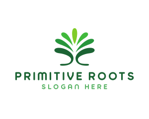Primitive - Natural Fountain Plant logo design
