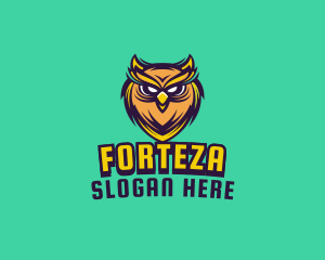 Owl Bird Avatar logo design