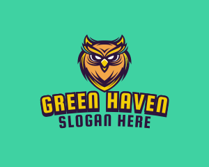 Owl Bird Avatar logo design