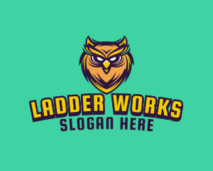 Owl Bird Avatar logo design