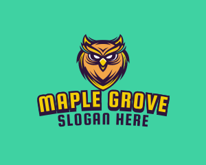 Owl Bird Avatar logo design