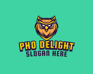 Owl Bird Avatar logo design