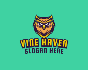 Owl Bird Avatar logo design