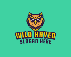 Owl Bird Avatar logo design