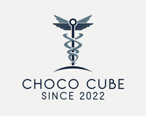 Hospice - Caduceus Healthcare Clinic logo design