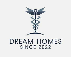 Caduceus Healthcare Clinic logo design