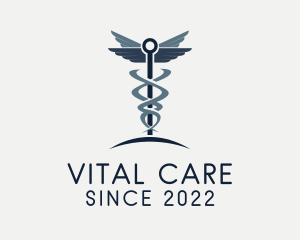 Healthcare - Caduceus Healthcare Clinic logo design