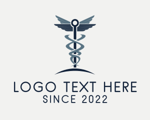 Hospice - Caduceus Healthcare Clinic logo design
