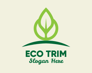 Eco Leaf Sprout logo design