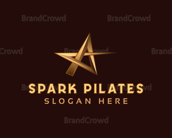 Premium Jewelry Star Logo