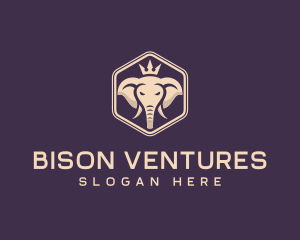 Corporate Elephant Crown logo design