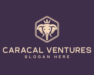 Corporate Elephant Crown logo design