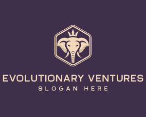 Corporate Elephant Crown logo design