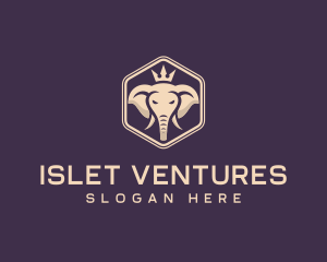 Corporate Elephant Crown logo design