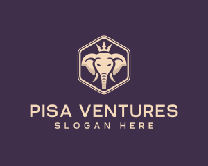 Corporate Elephant Crown logo design