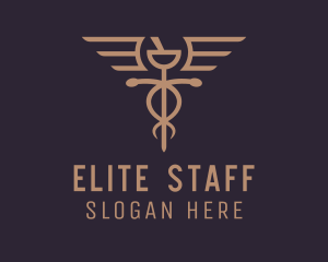 Medical Caduceus Staff logo design