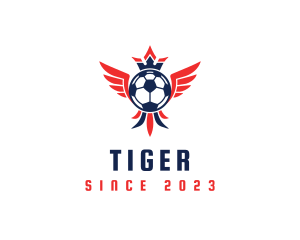 Football Championship Crown logo design