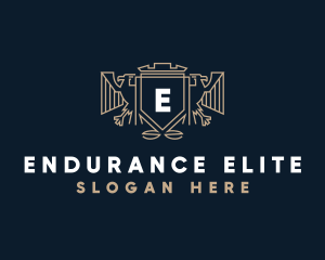 Elegant Eagle Shield logo design