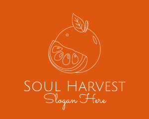 Fresh Orange Fruit logo design