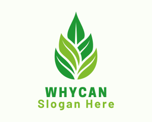 Organic Leaf Essence Logo