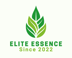 Organic Leaf Essence logo design