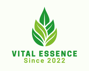 Essence - Organic Leaf Essence logo design