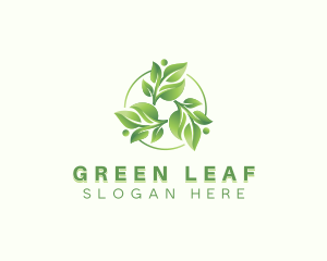 Botanical Leaf Spa  logo design