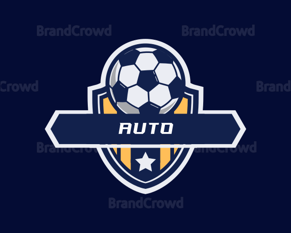 Soccer Ball Shield Logo