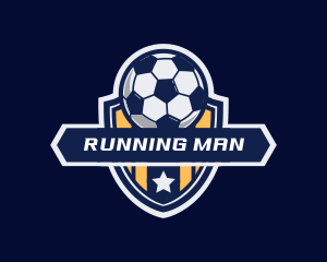Soccer Ball Shield Logo