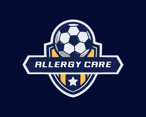 Soccer Ball Shield logo design